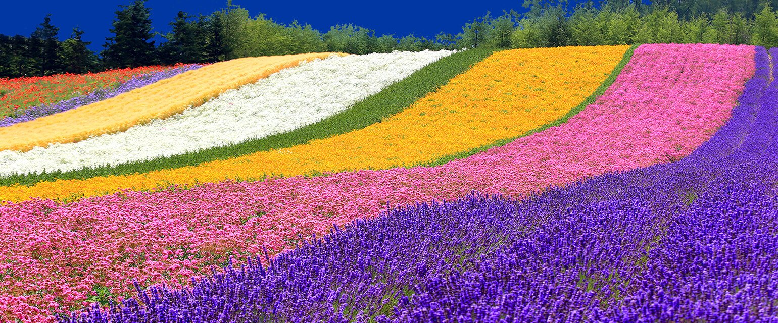 summer sample itinerariesr